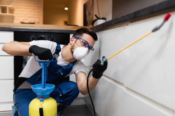 Best Affordable Pest Control Services  in South St Paul, MN