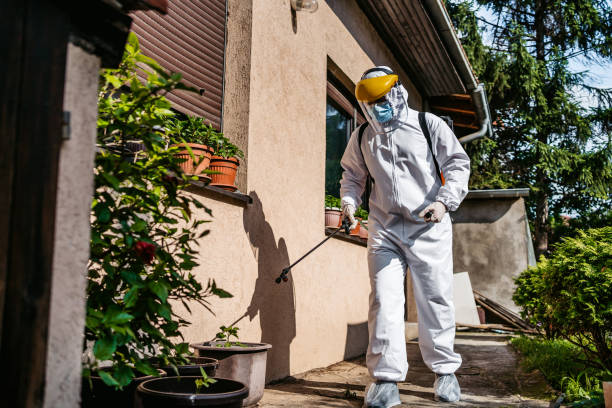 Best Pest Control Near Me  in South St Paul, MN