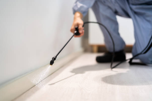 Pest Control Cost in South St Paul, MN