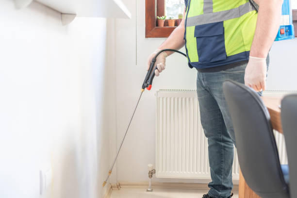 Professional Pest Control in South St Paul, MN