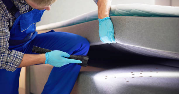 Best Best Pest Control Companies  in South St Paul, MN