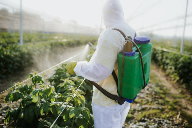 Best Wildlife Control Services  in South St Paul, MN